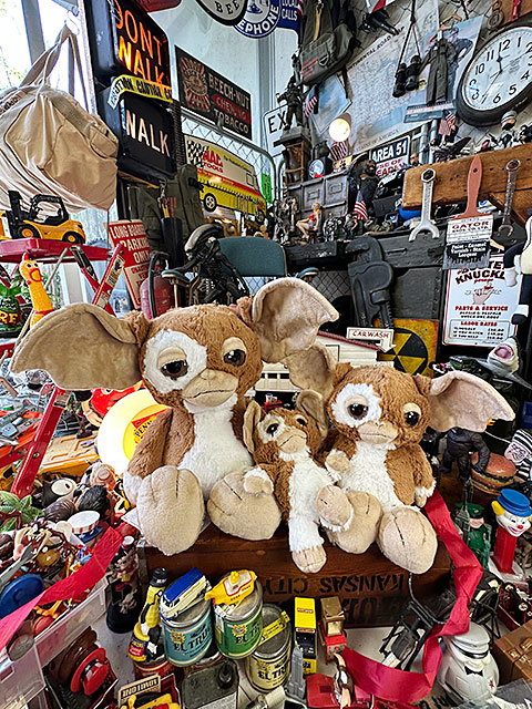 NICI���ǲ衡������󡡥����⡡�̤�����ߡ���3�Υ��åȡ�