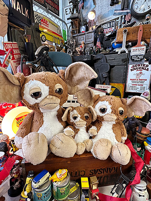 NICI���ǲ衡������󡡥����⡡�̤�����ߡ���3�Υ��åȡ�