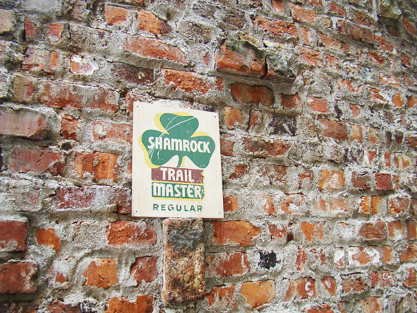 �ΤΥ��ɥХ������󥰡����åɥ����󡡥��꡼������ơ��ʥ������å���