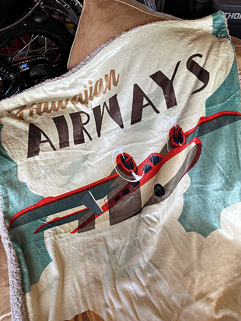 �ϥ磻���󡡥ȥ�٥�ݥ��������ե꡼���֥�󥱥åȡ�70cm��100cm���ʥ���������������