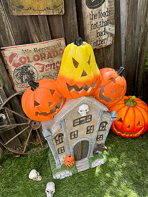 �ϥ������󡡥ۡ���ƥåɥޥ󥷥�󡡥����ǥ󥪥֥������⤵76cm��ñ��