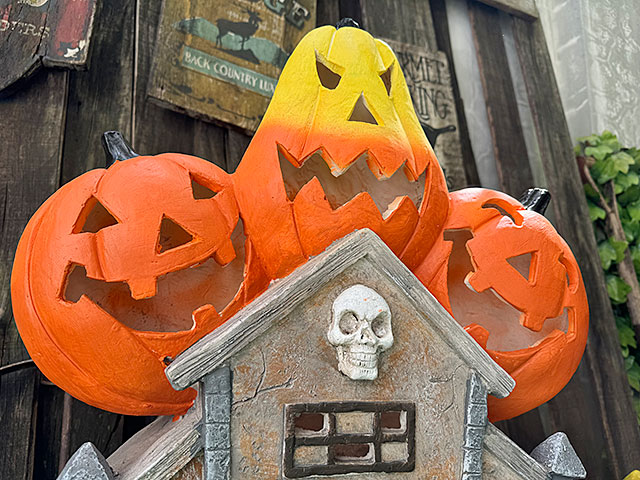 �ϥ������󡡥ۡ���ƥåɥޥ󥷥�󡡥����ǥ󥪥֥������⤵76cm��ñ��