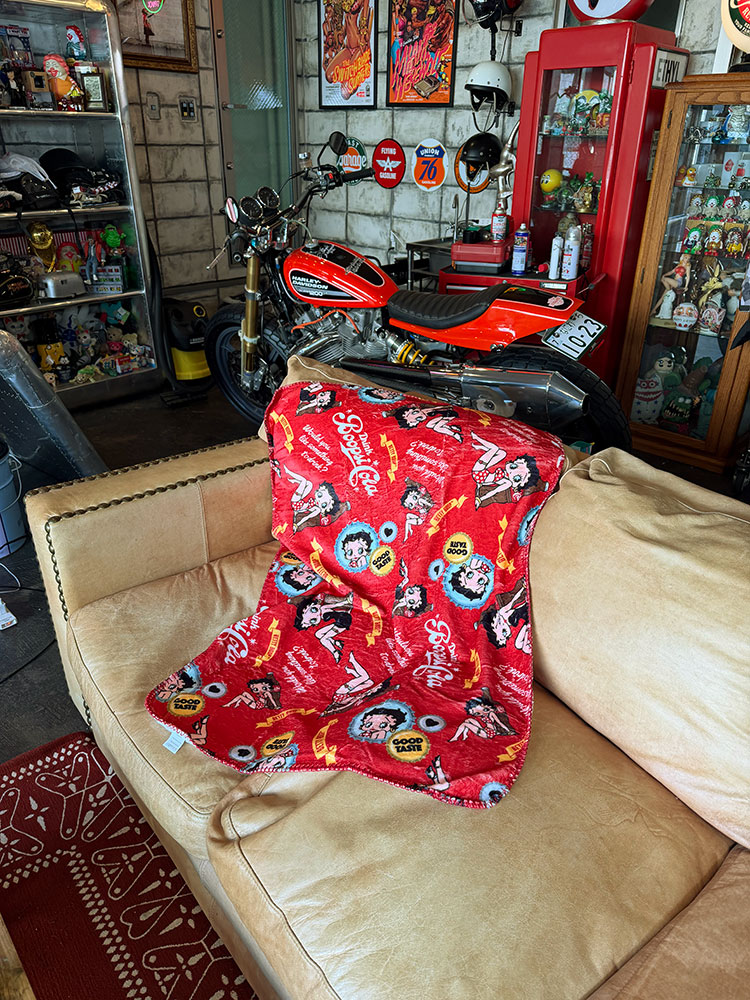 �٥ƥ����֡��ס��ե꡼���֥�󥱥åȡ�100cm��70cm���ʥ�åɡ�