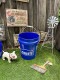 LOWE'S����������5�����󡡥��졼���Х��ġ�MADE IN U.S.A.������18L