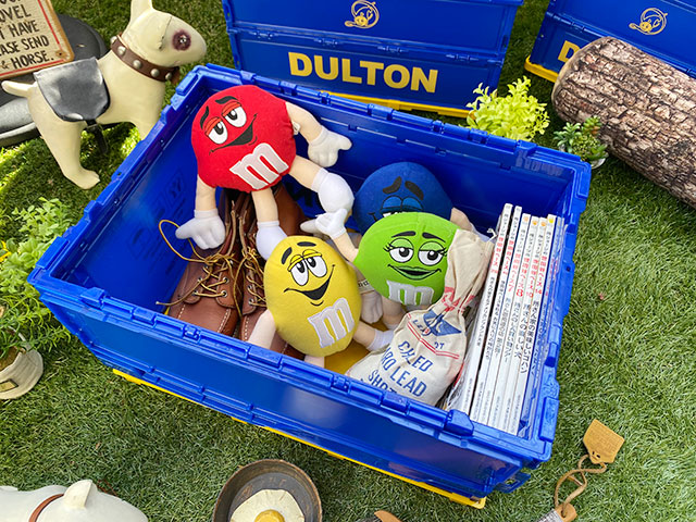 ����ȥ󡡥ե�����ǥ��󥰥���ƥʡ���S������2��+L������3�Ĥι��5�ĥ��åȡ�