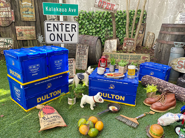 ����ȥ󡡥ե�����ǥ��󥰥���ƥʡ���S������2��+L������3�Ĥι��5�ĥ��åȡ�