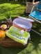 �ࡼ�󥤥����åץɡ����å���ڡ��ѡ�������ۥ�������ࡼ�󥢥���