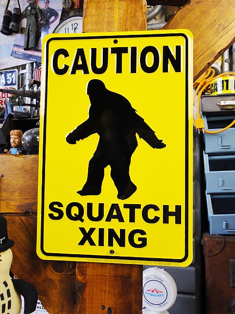 �֥ӥå��եåȤ����Ǥ��ޤ��ס��ߥ˥֥ꥭ����