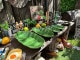�Хʥʥ꡼�ա��ȥ쥤����������5�������ե륻�åȡˡ�ƫ�������ǥ��å���