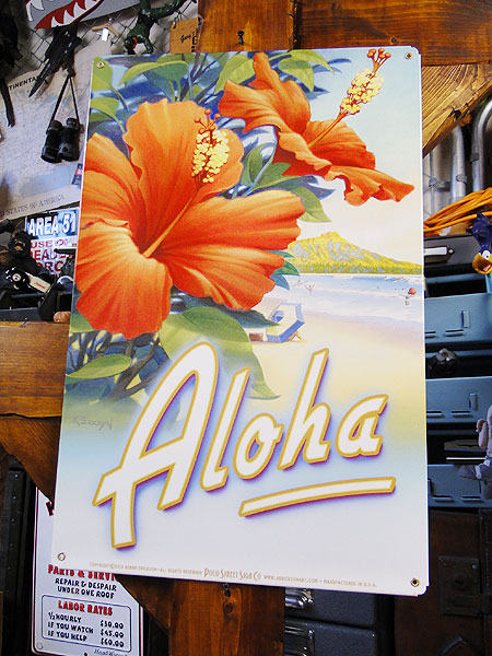 �ϥ磻��U.S.�إ������������륵���󡡡ʥϥ��ӥ�������