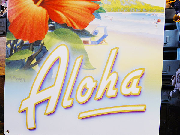 �ϥ磻��U.S.�إ������������륵���󡡡ʥϥ��ӥ�������