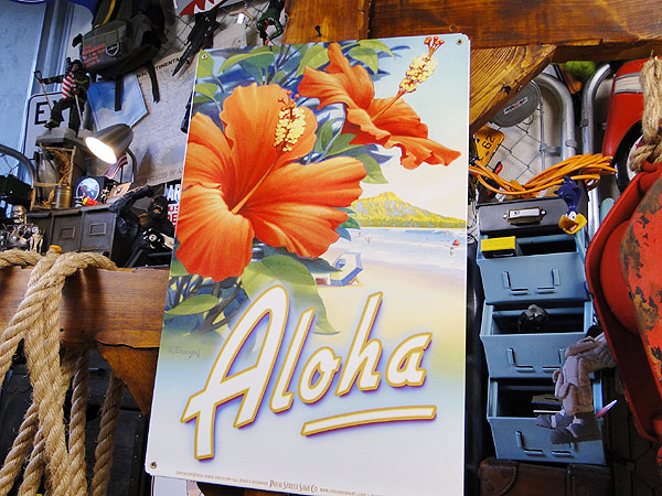 �ϥ磻��U.S.�إ������������륵���󡡡ʥϥ��ӥ�������