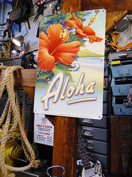 �ϥ磻��U.S.�إ������������륵���󡡡ʥϥ��ӥ�������