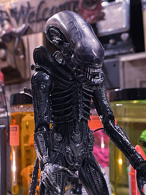 NECA���ǲ衡�����ꥢ�󡡥ӥå�����åס�7��������������ե����奢