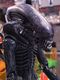 NECA���ǲ衡�����ꥢ�󡡥ӥå�����åס�7��������������ե����奢