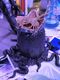 NECA���ǲ衡�����ꥢ�󡡥ӥå�����åס�7��������������ե����奢