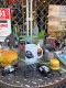 �ǲ衡����饷�å����ɡ����ե�����롡�ޥ����åס�325ml���������å�