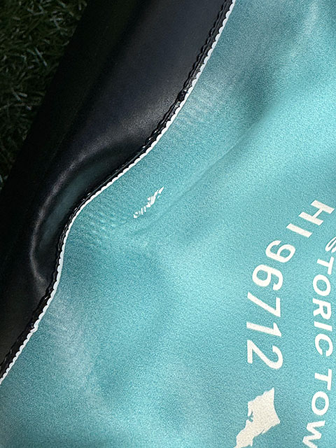 �ɿ���͡��ϥ쥤��ӡ����������������ץ롼�եХå���20L�����������å�