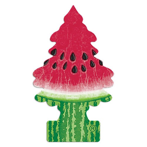 ��ȥ�ĥ꡼���ʥ��������������ˡ�Little Trees��MADE IN U.S.A.