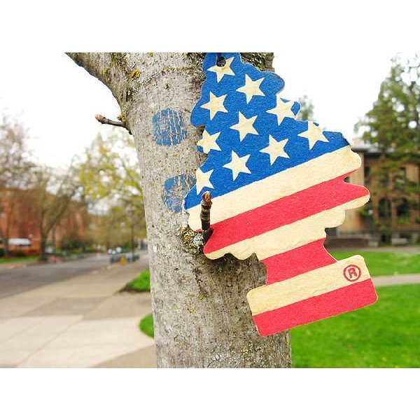 ��ȥ�ĥ꡼���ʥ��������������ˡ�Little Trees��MADE IN U.S.A.