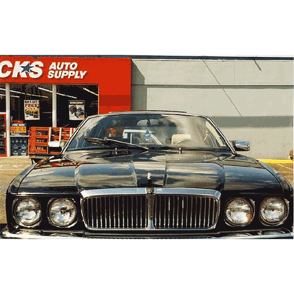 ��ȥ�ĥ꡼���ʥ��������������ˡ�Little Trees��MADE IN U.S.A.