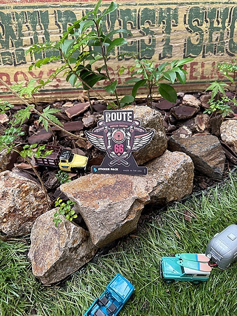 ���ƥå����ѥå��������ȥɥ������ƥå������롼��66���꡼����L���������ʥ롼��66�����󥸥���ˡ�MADE IN U.S.A.���ѿ���Ѹ��ǺࡡPVC���ƥå���