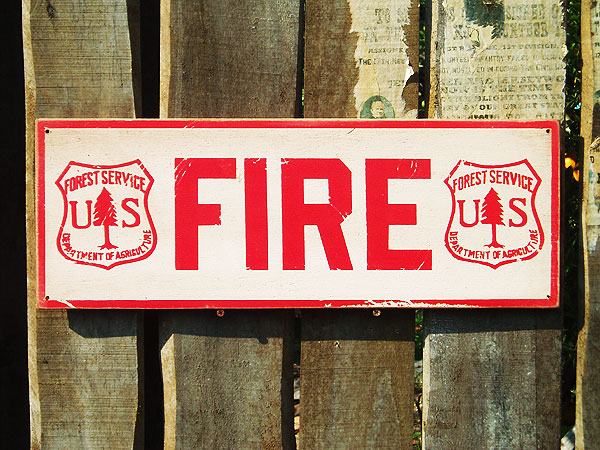 ΤΥɥХ󥰡åɥ󡡥꡼ơUSե䡼