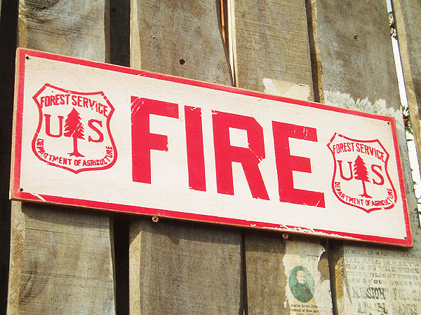 ΤΥɥХ󥰡åɥ󡡥꡼ơUSե䡼