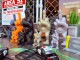 X�ե��󥬡��ޥ󡡥ݥ�쥸�󡡥ե����奢������10��/�ե륳��ץ꡼�ȥ��åȡ�