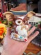 �ͥ᥷�����ʥ����ǲ衡������󡡥����� with 3D���饹���ե����奢