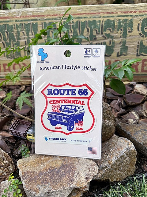 ���ƥå����ѥå��������ȥɥ������ƥå������롼��66���꡼����L���������ʥ롼��66������ƥ˥���ˡ�MADE IN U.S.A.���ѿ���Ѹ��ǺࡡPVC���ƥå���