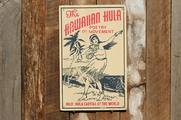 �ΤΥ��ɥХ������󥰡��ϥ磻���󥦥åɥ����󡡡ʥϥ磻����ե��