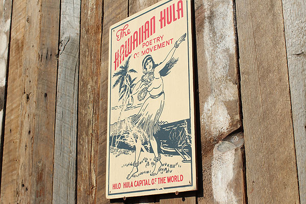 �ΤΥ��ɥХ������󥰡��ϥ磻���󥦥åɥ����󡡡ʥϥ磻����ե��