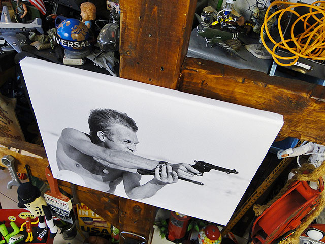 ���ƥ����֡��ޥå������󡡥����Х������ȡ��ʥ��󥷥�åȡ�