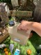 �⡼��ǥ��󥰡��������������󥯡�4L+5L���羮2�ĥ��åȡ��ʥ���ɡ�