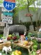 BERYY�ҡ������������顡�ץ饹���å����å�