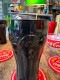 �����������顡���ե�����롡�ץ�ߥ��ࡡ�����˥奤�󥰥饹��370ml�����饹�����ʥ֥�å��ˡ�ñ��