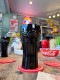 �����������顡���ե�����롡�ץ�ߥ��ࡡ�����˥奤�󥰥饹��370ml�����饹�����ʥ֥�å��ˡ�ñ��