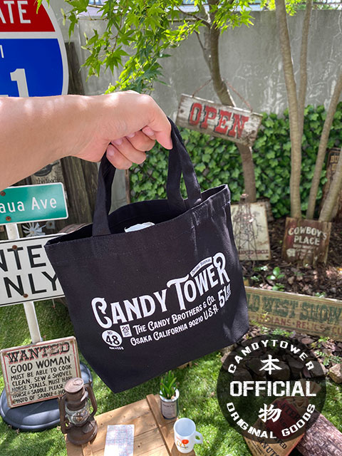 �����ǥ���������ե�����롡�ߥ˥ȡ��ȥХå����ʥ֥�å���