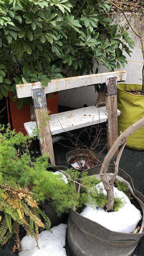 EBCO�ҡ������ۡ����֥饱�åȡ�2P���åȡ��ʥإ����������ס��Ѳٽš�180kg�ˡ�[SH6]��
