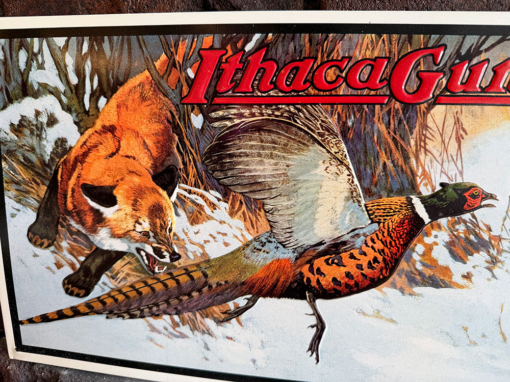 Ithaca Guns��Pheasant���֥ꥭ����