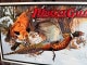Ithaca Guns��Pheasant���֥ꥭ����