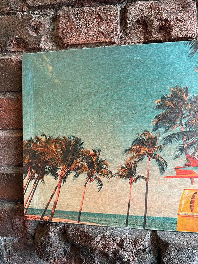 ѡĥ꡼ơƥȡåɥܡɡϥ磻