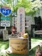�С��С�������ݡ��롡��������