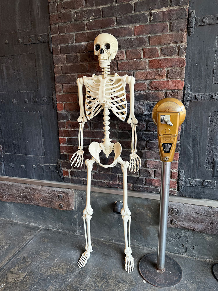 ポーズを付けられる スケルトン ガイコツ リアルオブジェ 160cm