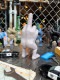 X�ե��󥬡��ޥ󡡥ݥ�쥸�󡡥ե����奢���ʥ��졼��