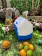 �����롼���ץ쥤�ᥤ�ȡ����꡼�ȡ�15L���ʥ֥롼��