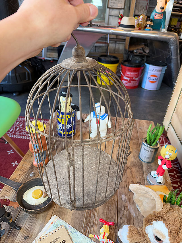 ���ߥơ�����󡡥С��ɥ�����������������Τ̤�����ߥ��å�