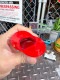 VIEW TAINER���ӥ塼�ƥ��ʡ������ȥ졼������ƥʡ�W5cm��H10cm���ʥ�å�/10cm�����סˡ��ݴ��ƴMADE IN U.S.A.