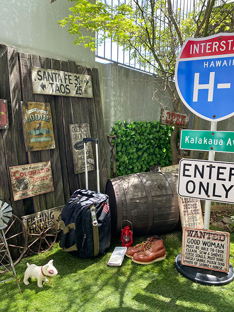 ե饤󥰥ܥǥܥȥ󥭥꡼ʥ֥å